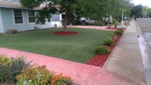 artificial grass in front yard