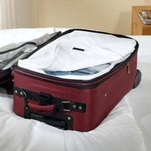 bed bug suit case liner