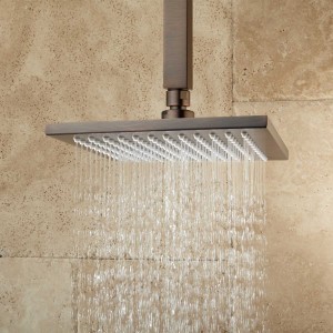 ceiling mounted shower head